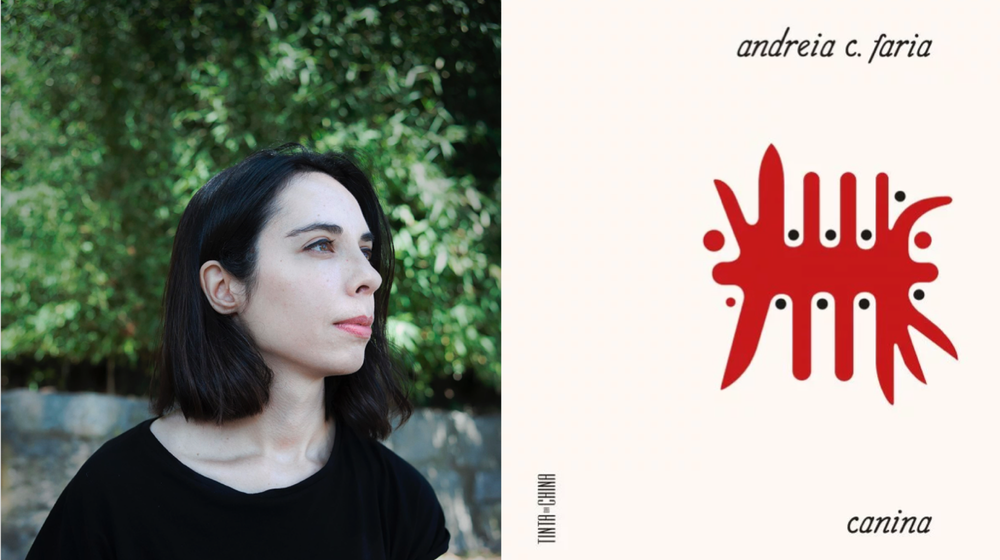 Andreia C. Faria: Andar de caravela pela insónia – Novos Livros